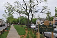 Locust Grove Civic triangle, May 3, 2010  