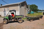 Greenbelt Native Plant Center 