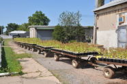 Greenbelt Native Plant Center 