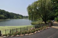 Oakland Lake 