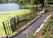 Oakland Lake 