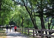 Oakland Lake 