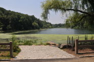 Oakland Lake Path 
