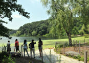 Oakland Lake 