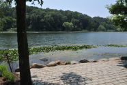 Oakland Lake Fishing Pad 
