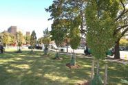 Fraser Square 