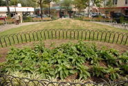 Ciccarone Playground 