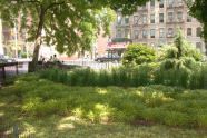 St. Nicholas Park 