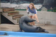 New York Aquarium 