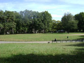 Mount Prospect Park 