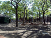 100% Playground 