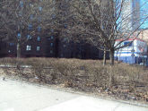 Arbor Place 