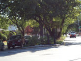 Avenue R Mall 