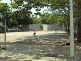Bath Beach Park 