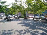 Ahearn Park 