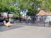 Belmont Playground 