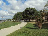 Bensonhurst Park 