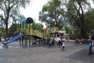 Brower Park Playground 