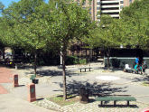 Bushwick Playground 