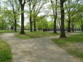 Canarsie Park 