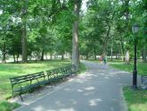 Bowne Park Pathways 