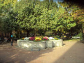 Cobble Hill Park 