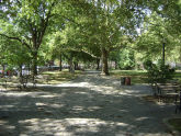 Coffey Park 