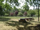 Coffey Park 