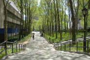 Columbus Park 
