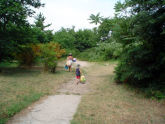Coney Island Creek Park 