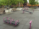 Curtis Playground Exercise Equipment 