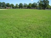 Cambria Playground (Frederick Cabbell Park) 
