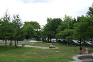 Dome Playground 
