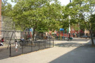 Fish Playground 