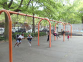 Fox Playground 