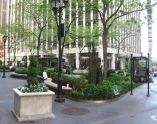 British Garden at Hanover Square 