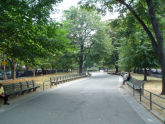 Fulton Park 