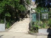 Bushman Steps 