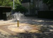 Cherry Tree Park Spray Showers 