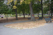 Herbert Von King Park 