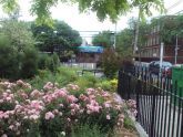 Carlos R. Lillo Park 