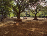 Hillside Park 