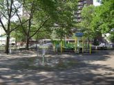 Col. Young Playground Spray Showers 