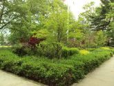 Crocheron Park 