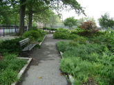 McDonald Square 