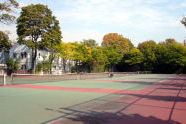Kelly Park 