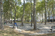 Korean War Veterans Plaza 