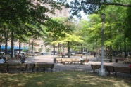 Livonia Park 