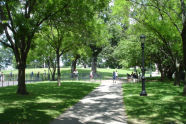 McKinley Park 