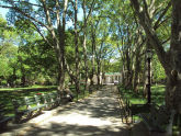 Msgr. McGolrick Park 